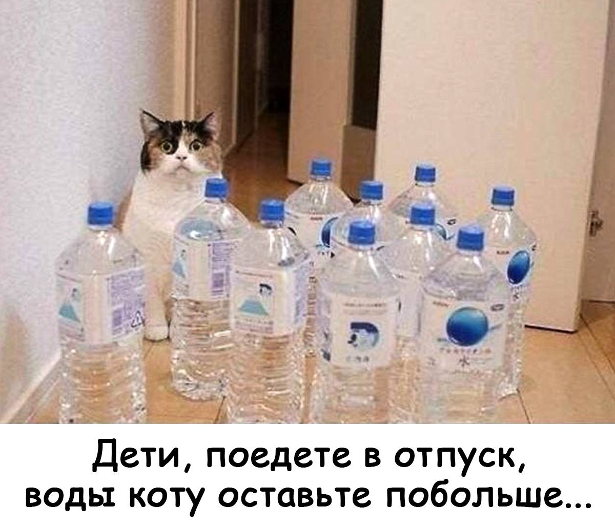 Ебобо. Оставь коту побольше воды. Будешь уезжать оставь коту воды. Оставь коту воды прикол. Сынок оставь коту воды.