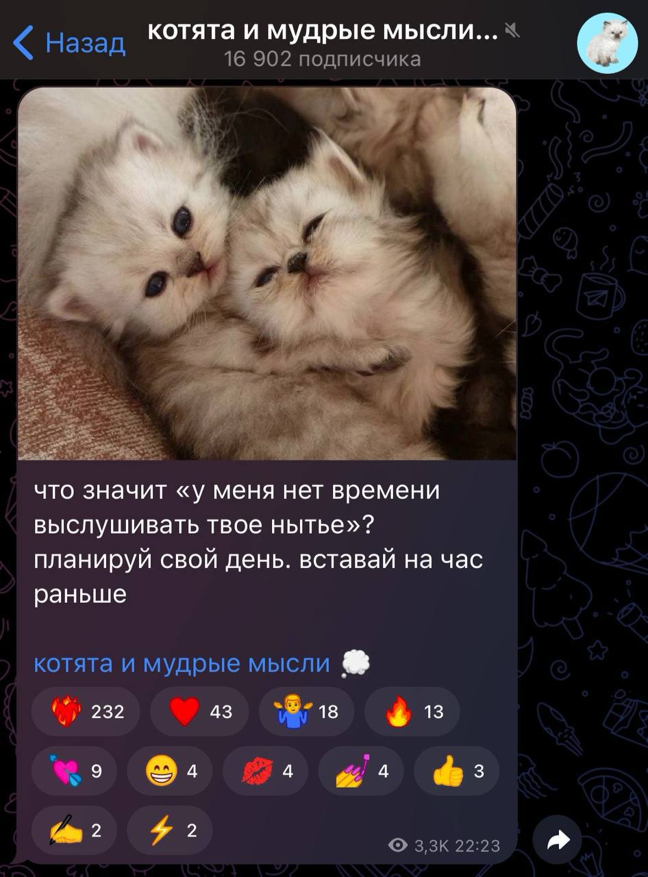 Публикация #28995 — Аниме авы обои аватарки (@anilaev)