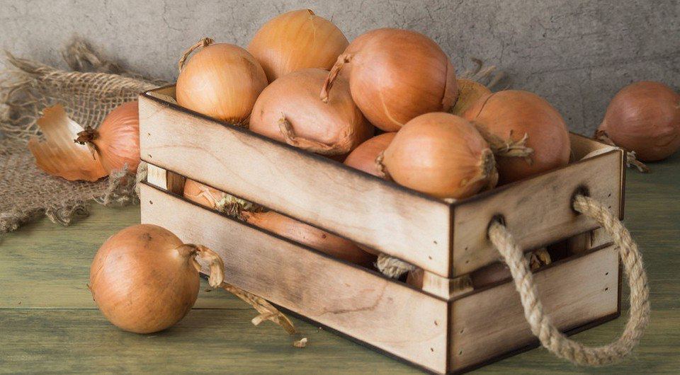 Как убрать и хранить лук. Как хранить лук на зиму