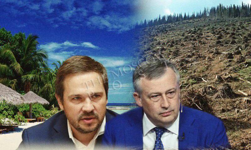 ​​Дрозденко стучится в &laquo;Октагон&raquo;: издание вышло губернатору лесом  Задержание главреда &laquo;Октагон