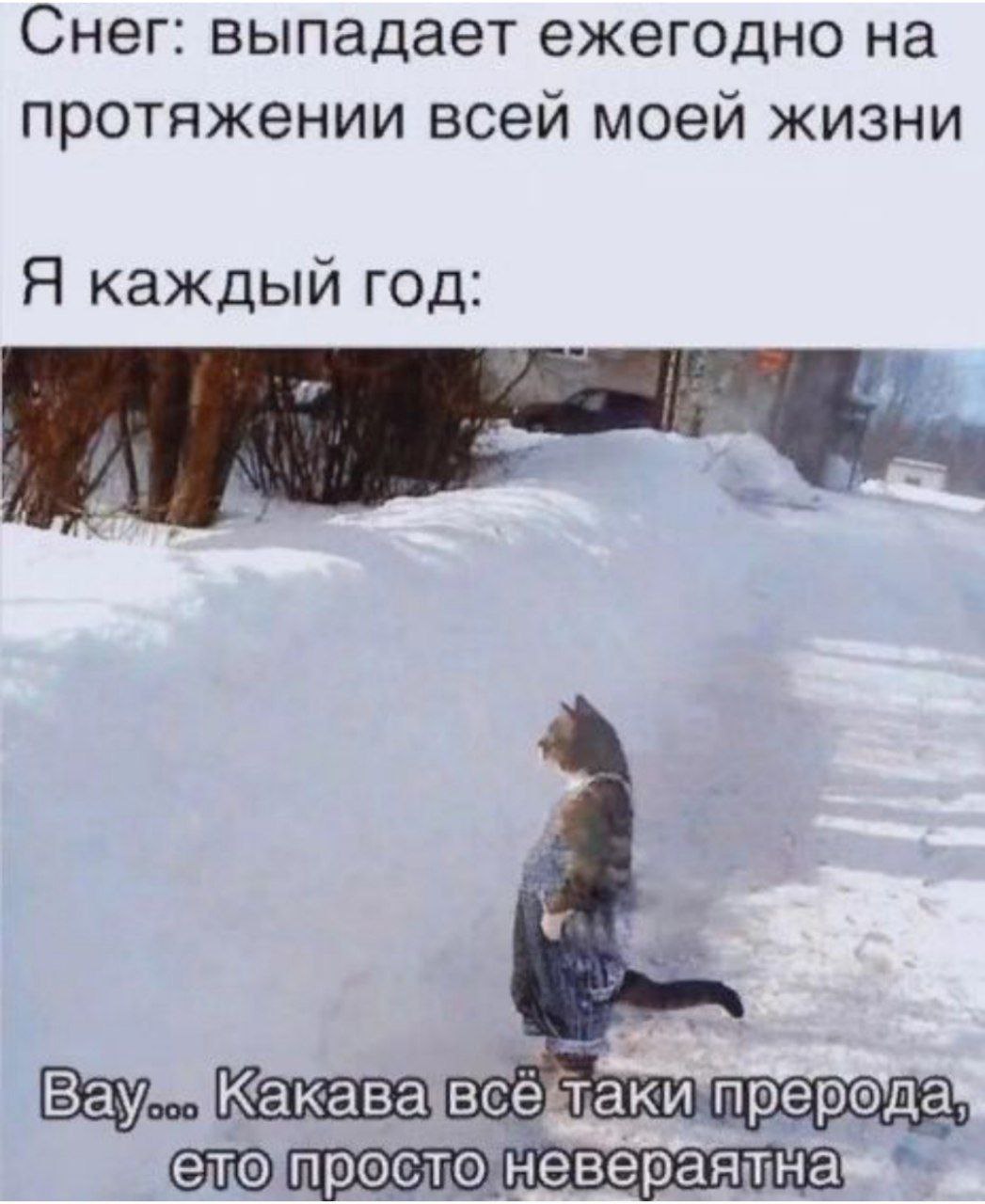 А у нас сегодня снег прикол
