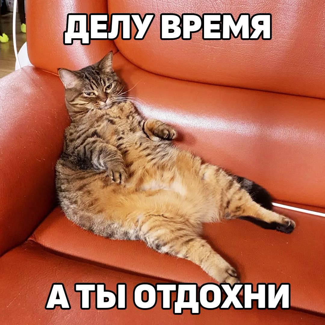 Кото диван