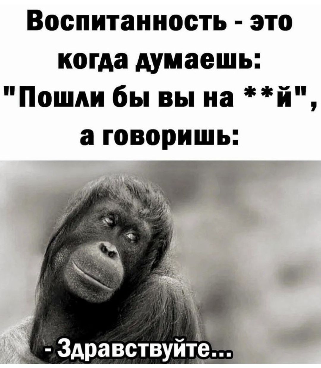 Негодяйка Путала Мысли Негодяйка Путала Мысли