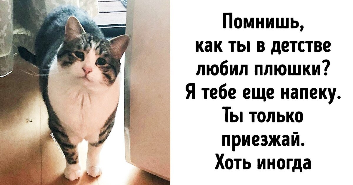 Ну помоги хоть