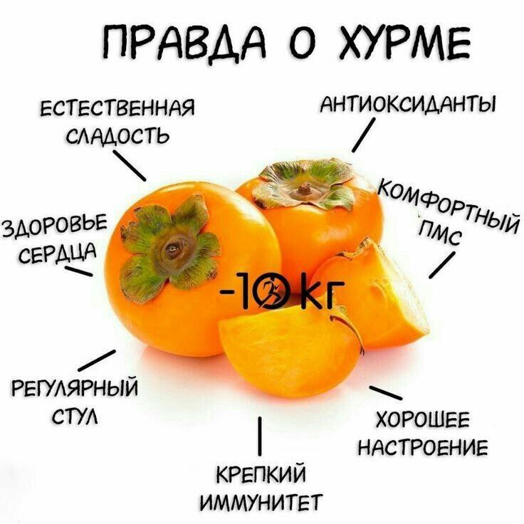 Сезон хурмы