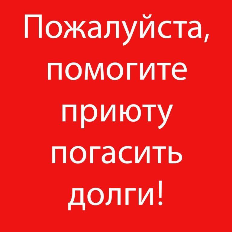 Помоги закрыть. Помогите погасить долг за корм. Помогите оплатить долги. Помогите приюту. Помогите оплатить долг в ветклинике.