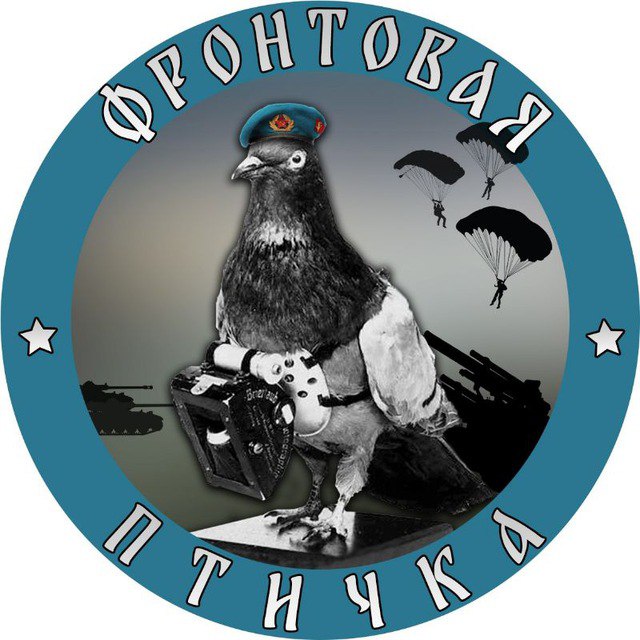 Фронтовая птичка телеграм каналы