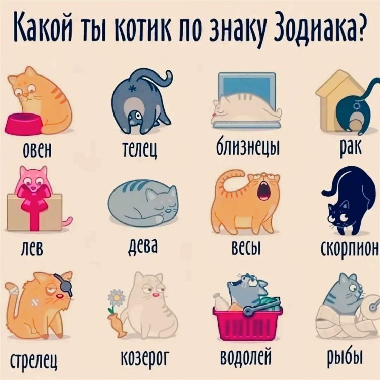 Тест какое ты чудо