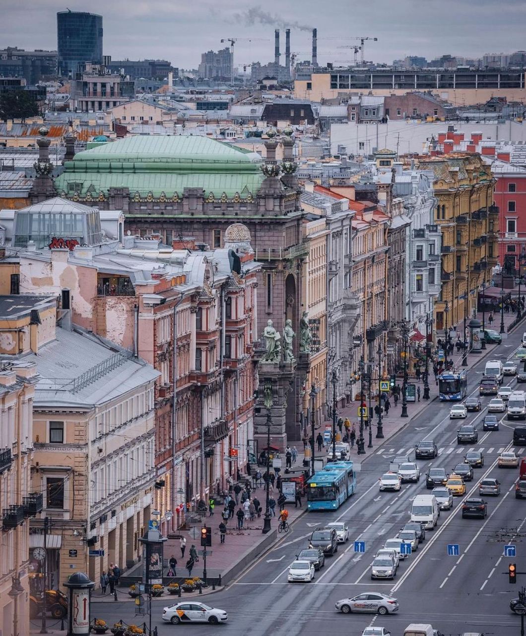 Что можно в питере. Деревья на Невском проспекте.