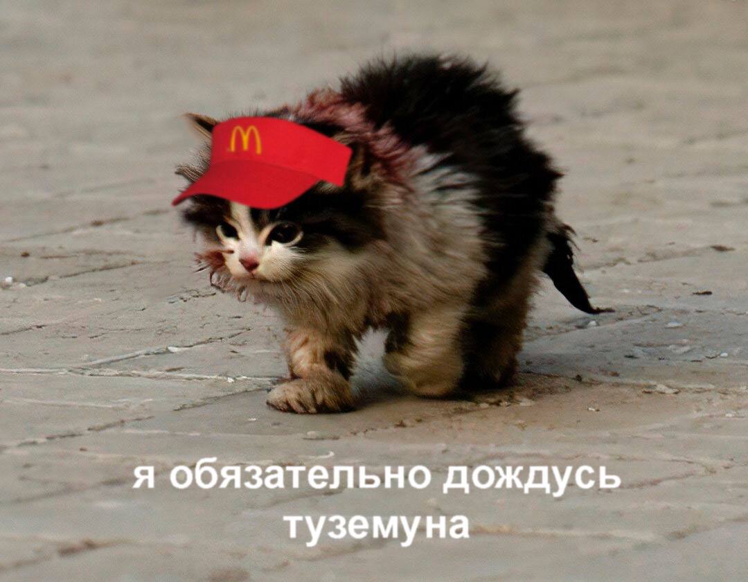 Ждем нашего выхода