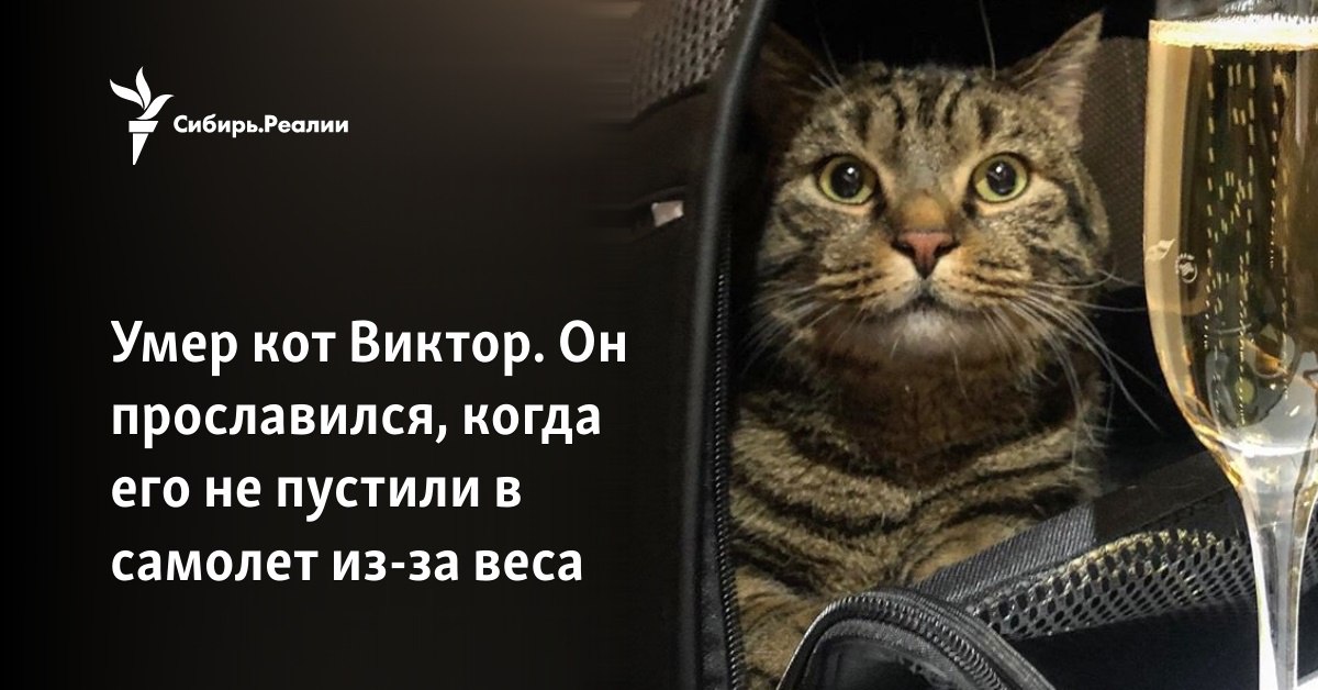 Умер кот