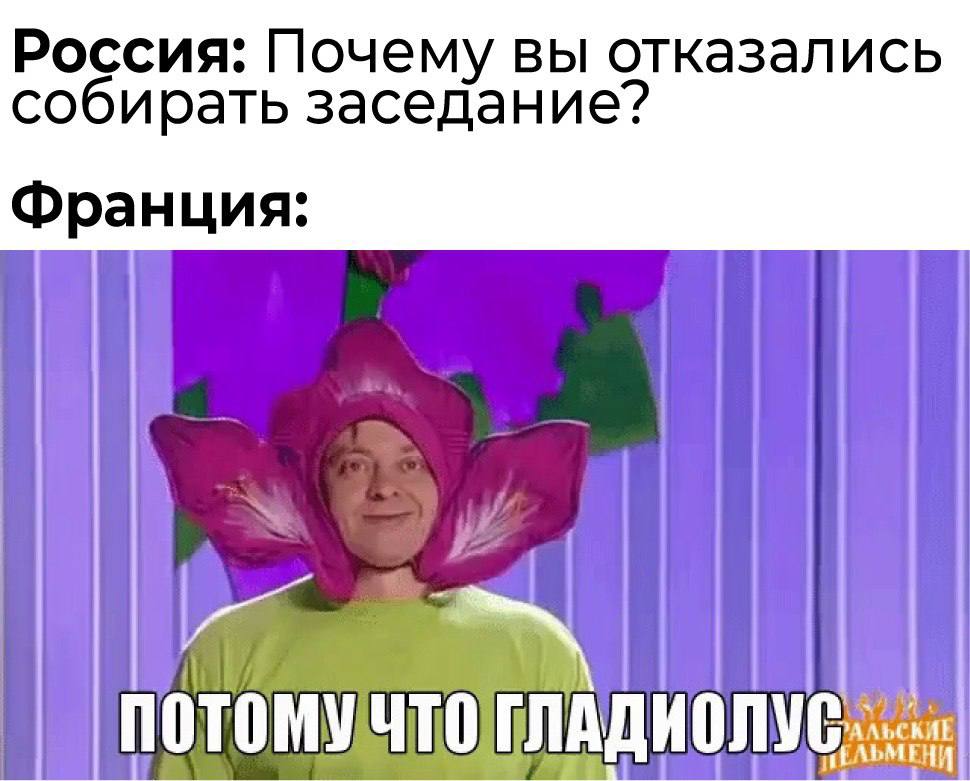 Бабушка барсик