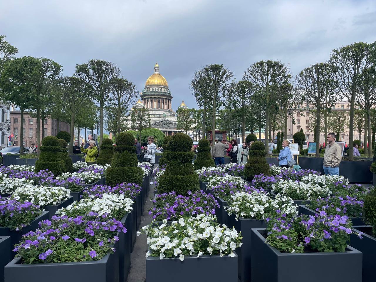 Санкт Петербург Май Фото