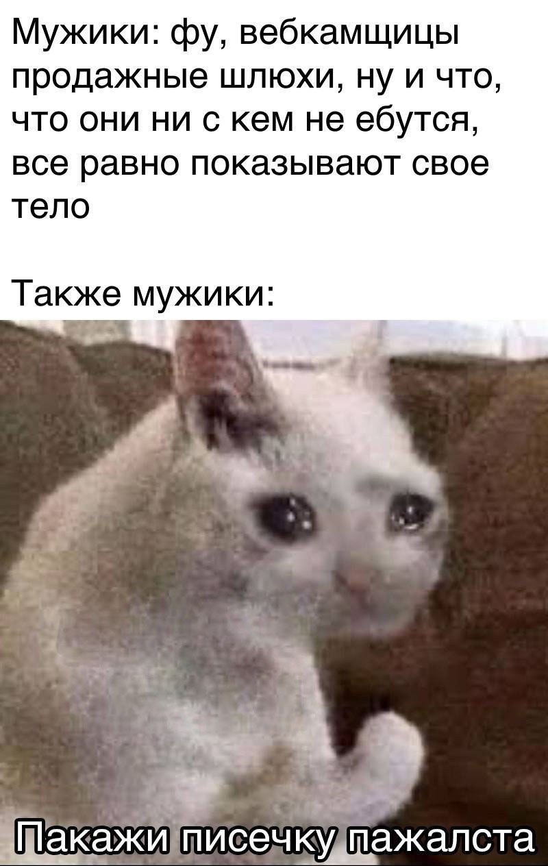 Публикация #13398 — PornoMemes (AAAAAFjXKL78VZhFr2yKnw)