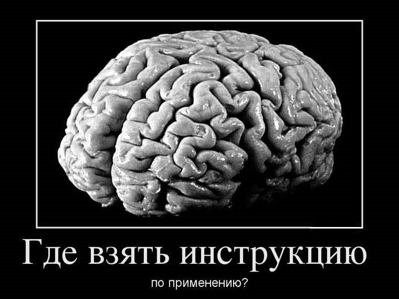 Мы есть у мозга. Мозг прикол. Шутки про мозги. Мозг смешной. Шутки про мозг.