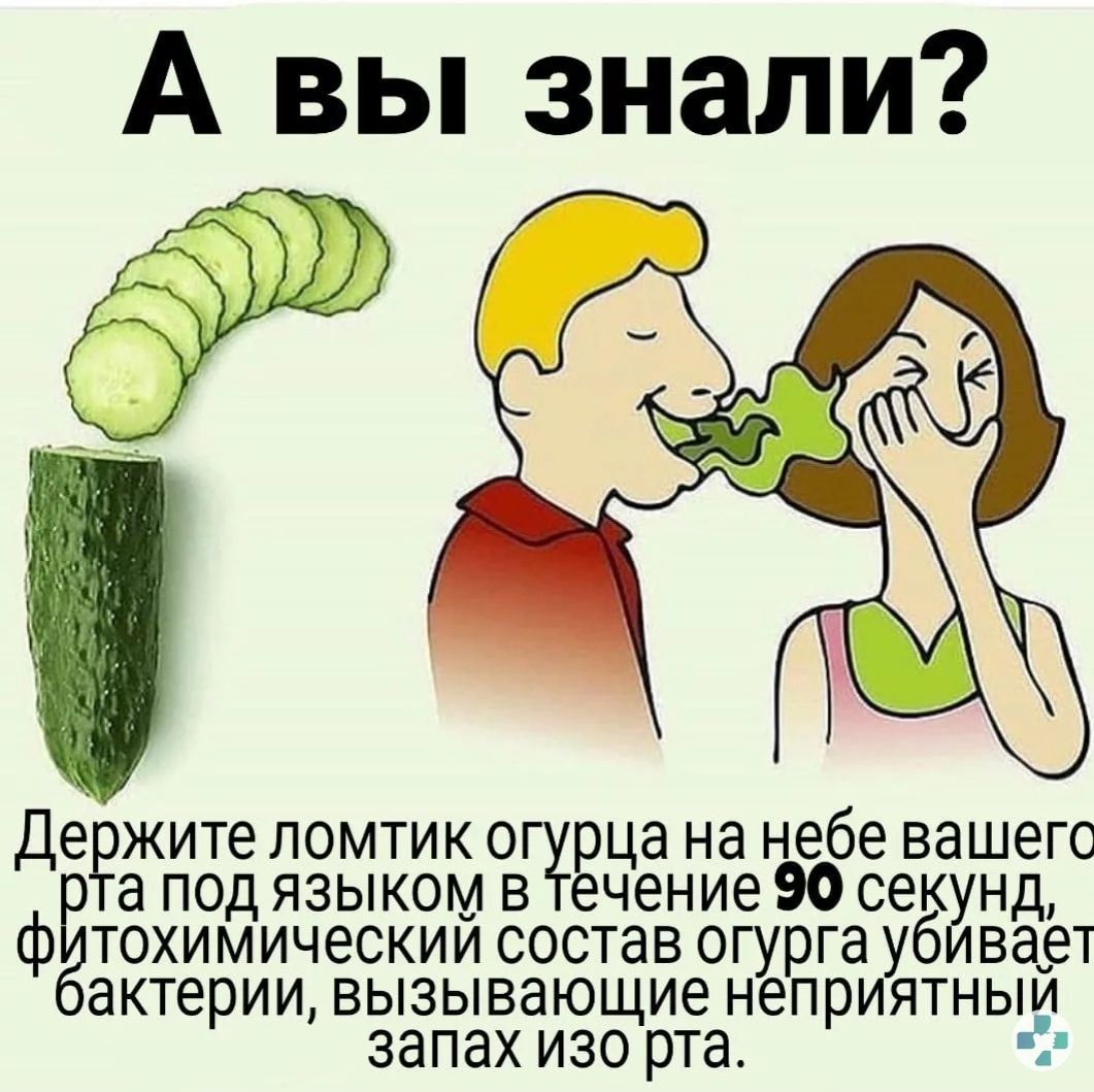 👍 46. ✅ Запах изо рта приносит дискомфорт! 👎 7. 🥒 Огурец - отличный помо...