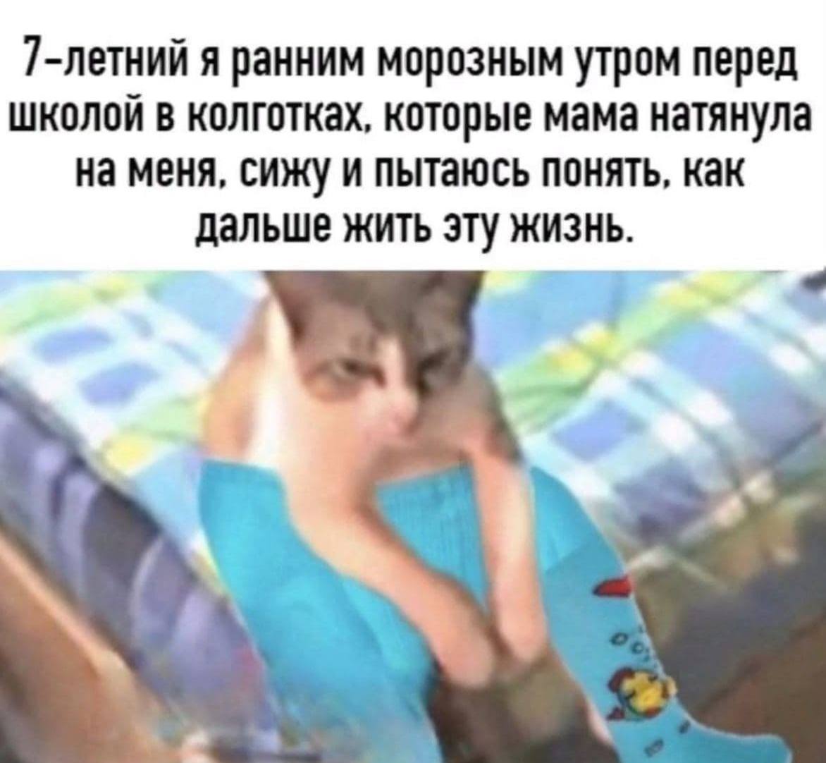 Утро Школа Прикол