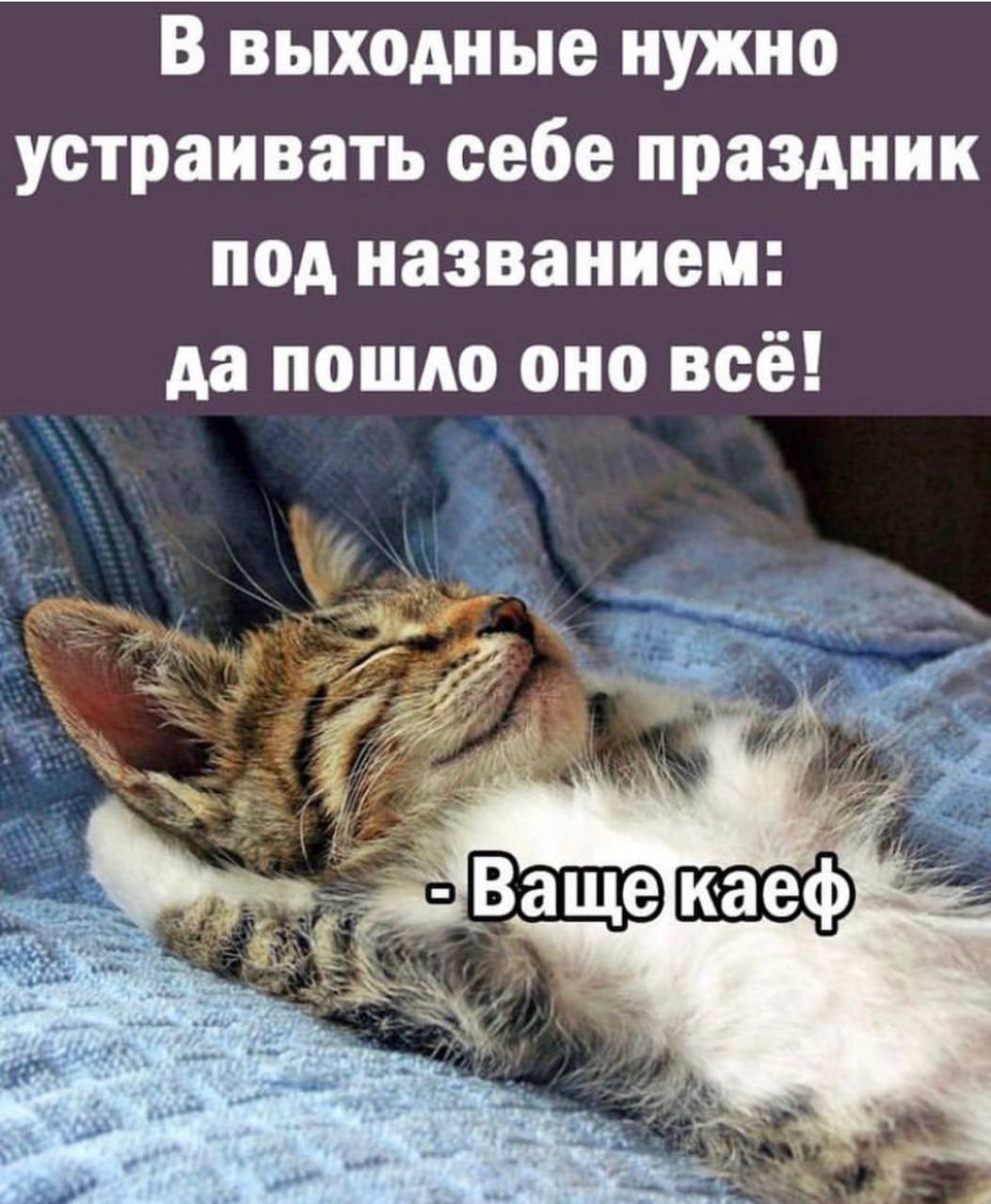 Да пошло оно все картинки