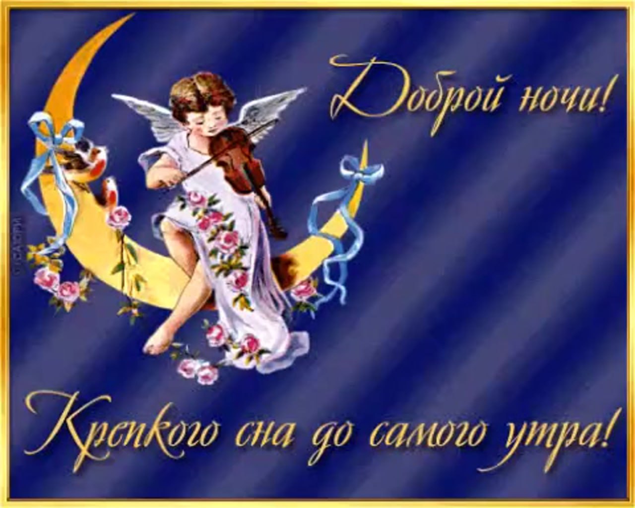 Доброй ночи картинки прикольные смешные