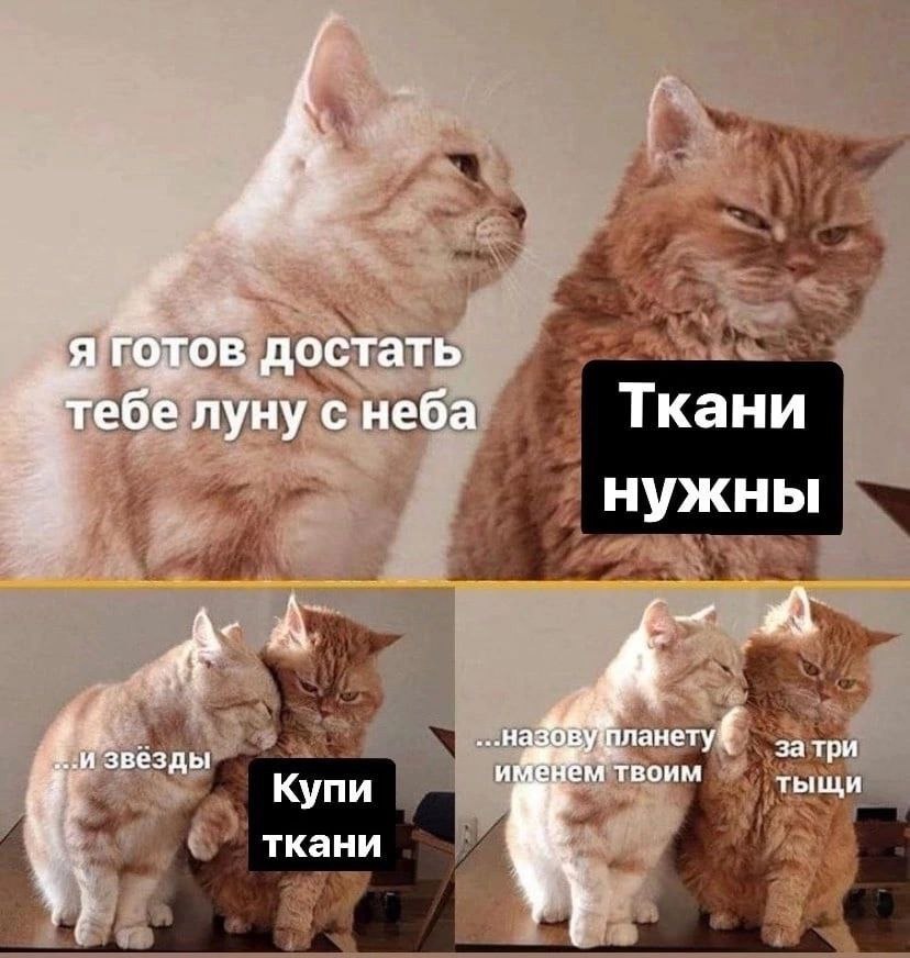 Нужно быть готовым. Мем с котами кастрюля нужна. Я подарю тебе звезду кастрюля нужна. Кастрюлю хочу за три тыщи. Кастрюля за 3 тыщи Мем.