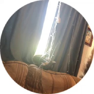 Порно Видео Кристины Дурман